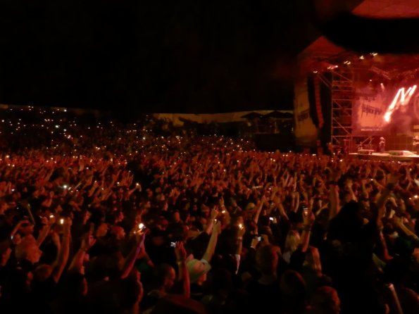 Rise Against (9)