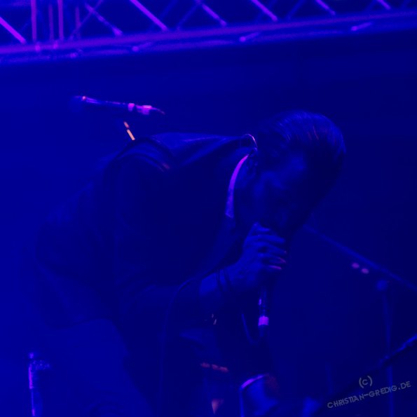 Traumzeit 2013 27 Editors